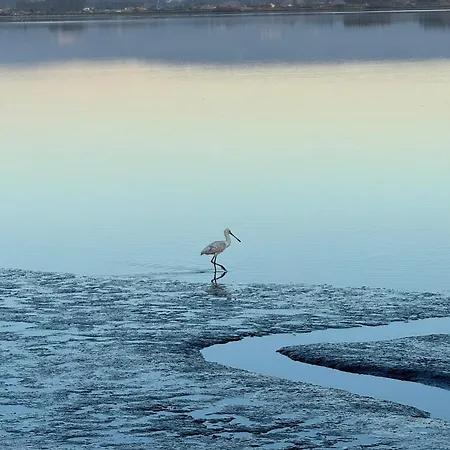 Refugio Dourado וילה *