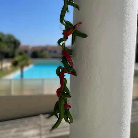 Refúgio Dourado Villa Torreira