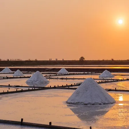Refúgio Dourado * Torreira