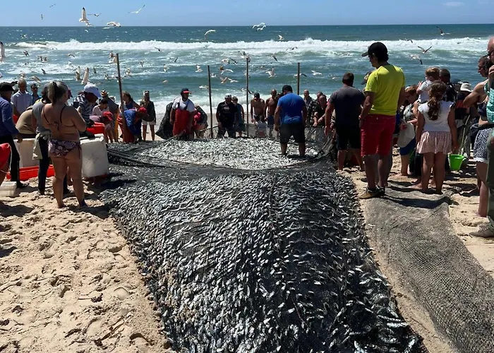 וילה Refugio Dourado *